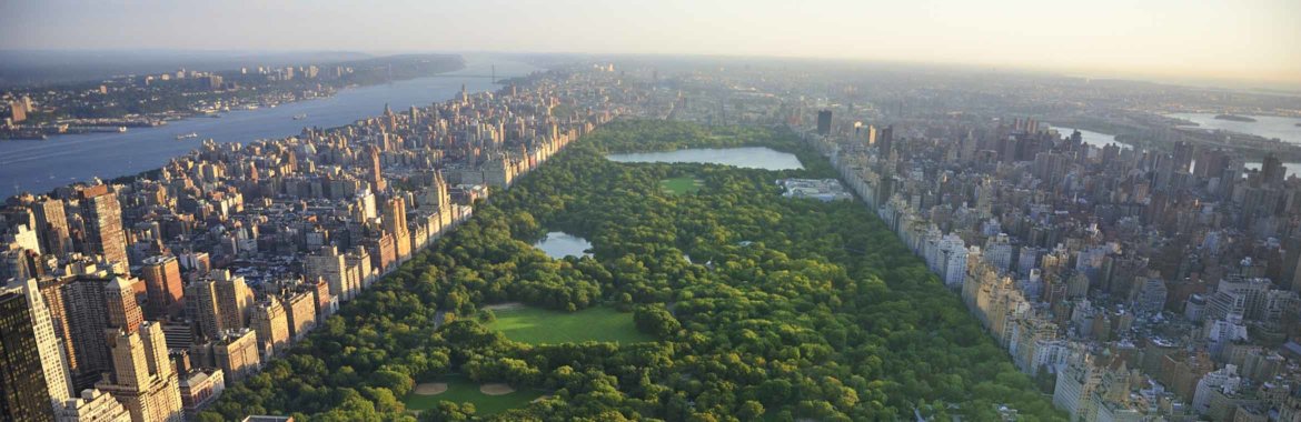 An aerial view of New York's Central Park.