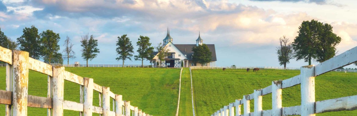 A white picket fence leads to a sprawling horse farm in Kentucky.