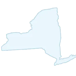 Outline map of the state of New York. The map is shown in light blue.