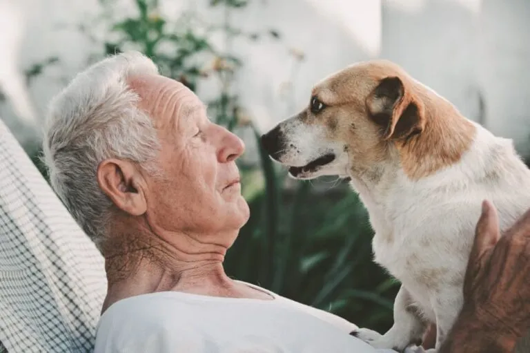 A senior man lying on a lounger, his dog comfortably sitting on his chest
